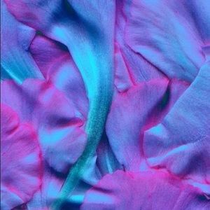 Meet your Posher, Iiulaly